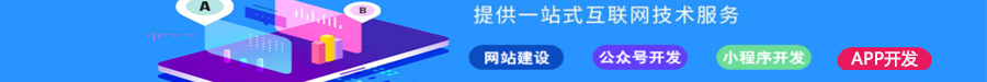 网站开发